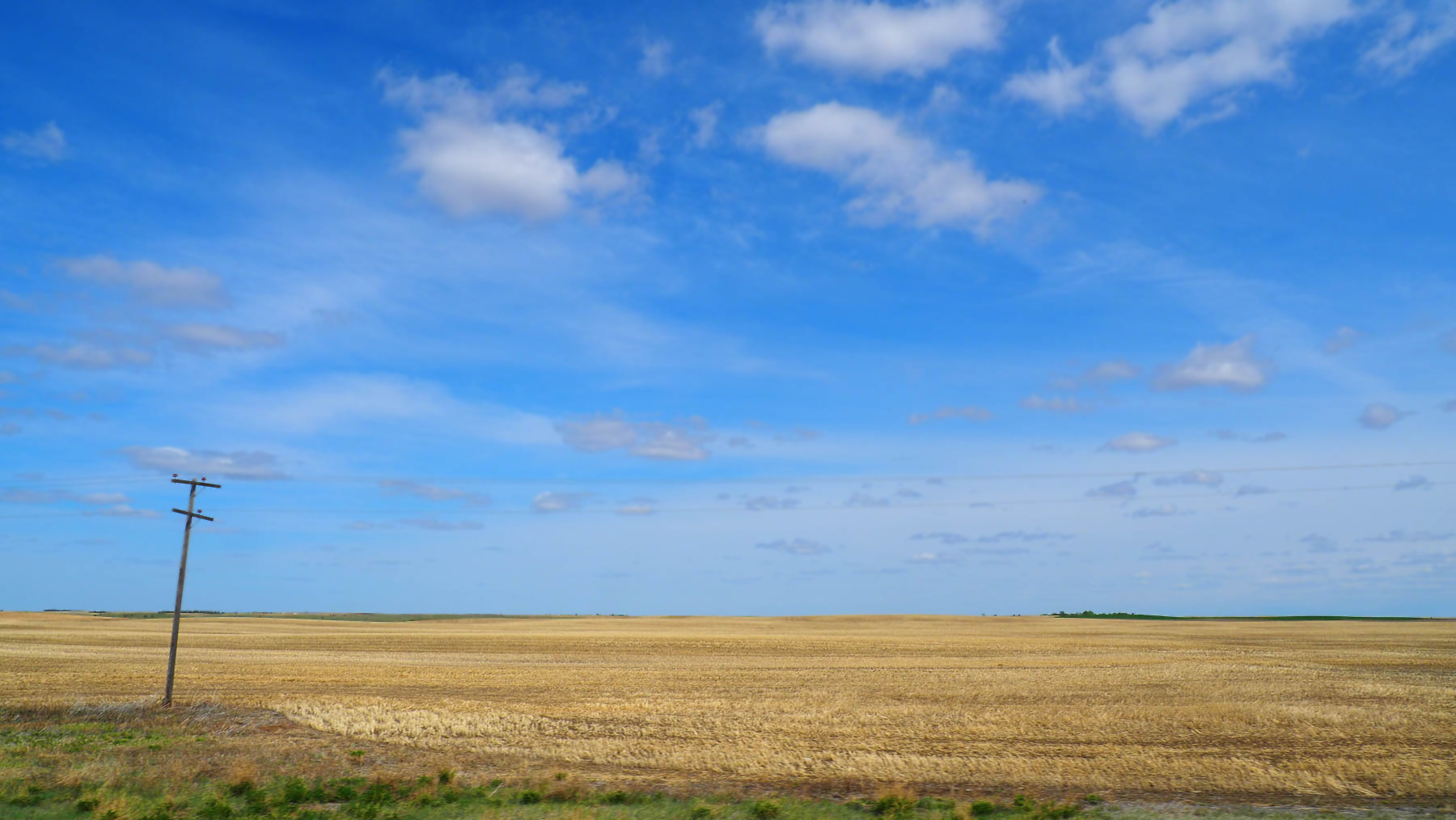 endlose Getreidefelder in Saskatchewan
