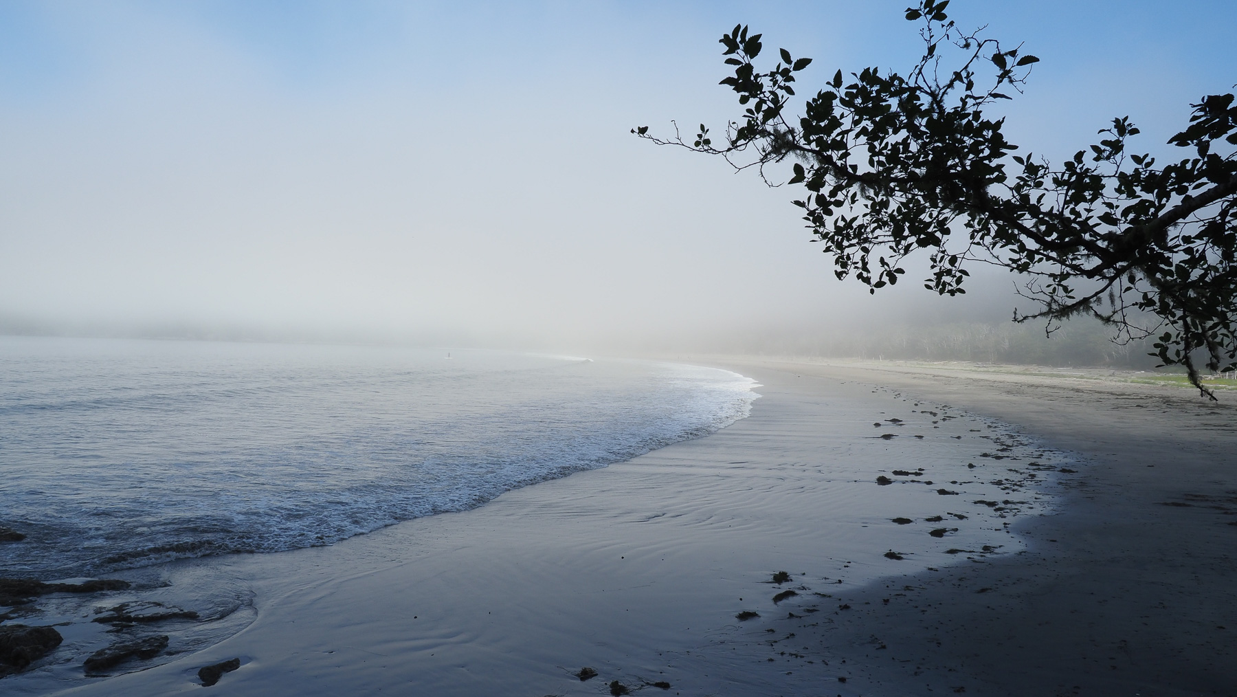 schöne Pazifikstrände, nur meistens im Nebel, das Wasser eiskalt