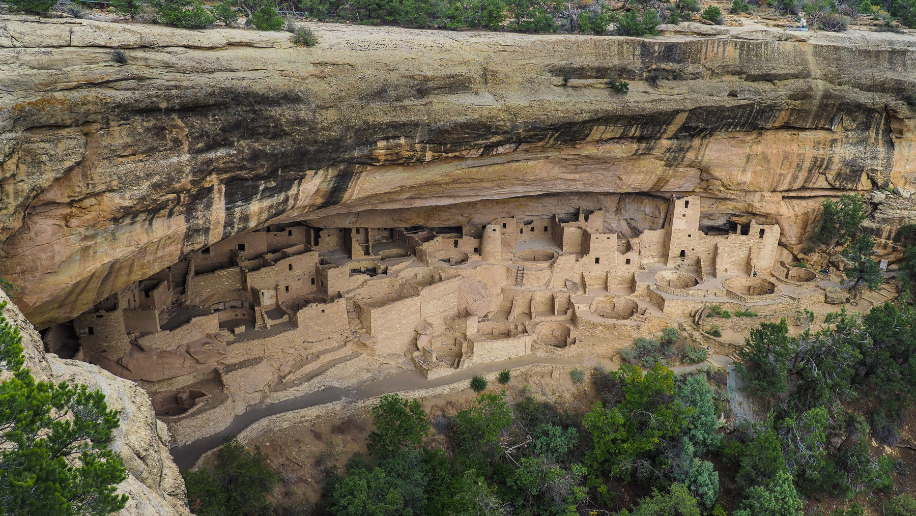 Cliff Palace – die größte und schönste der Felsbehausungen