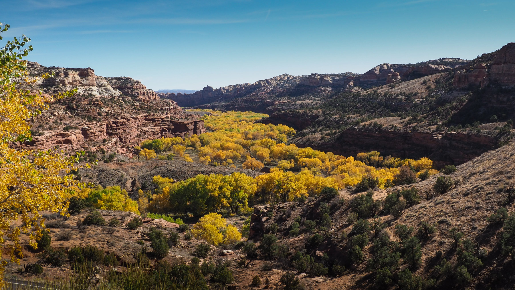 Die Canyons mit herbstlich gefärbten Cottonwoods – wunderschön!