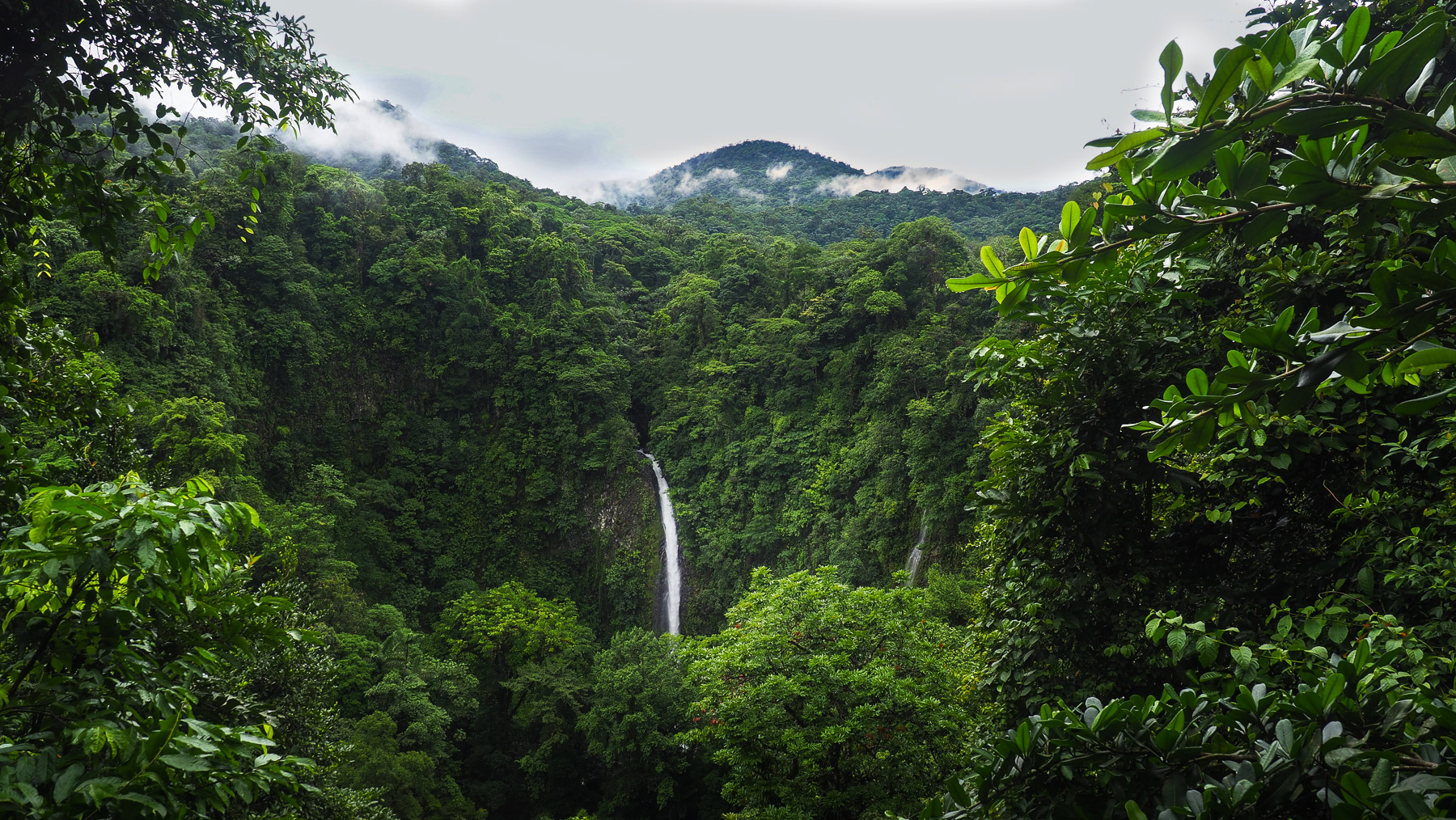 Mitten im Dschungel gelegen: der La Fortuna Wasserfall