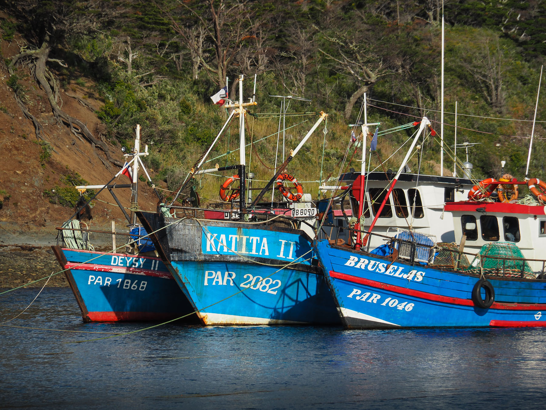 Fischerboote im Hungerhafen, unser südlichster Punkt in Chile