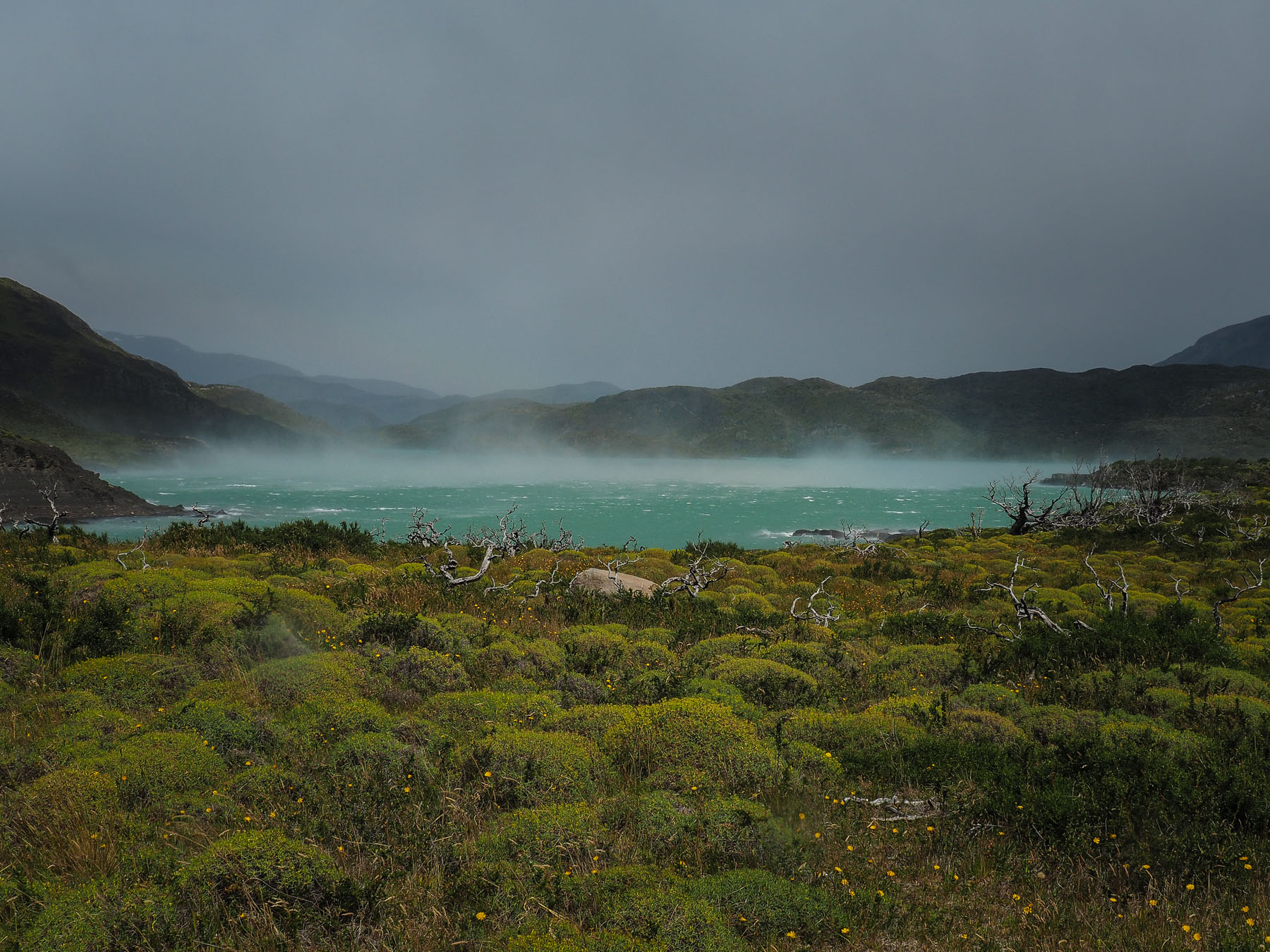 Der berüchtigte Patagonische Wind weht fast jeden Tag