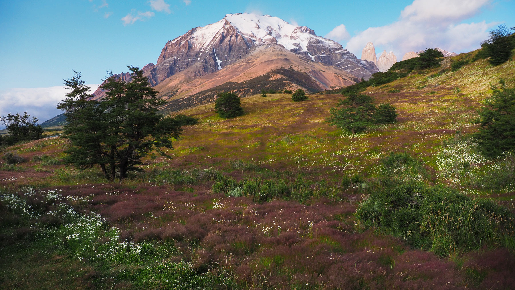 Alpenglühen in Patagonien