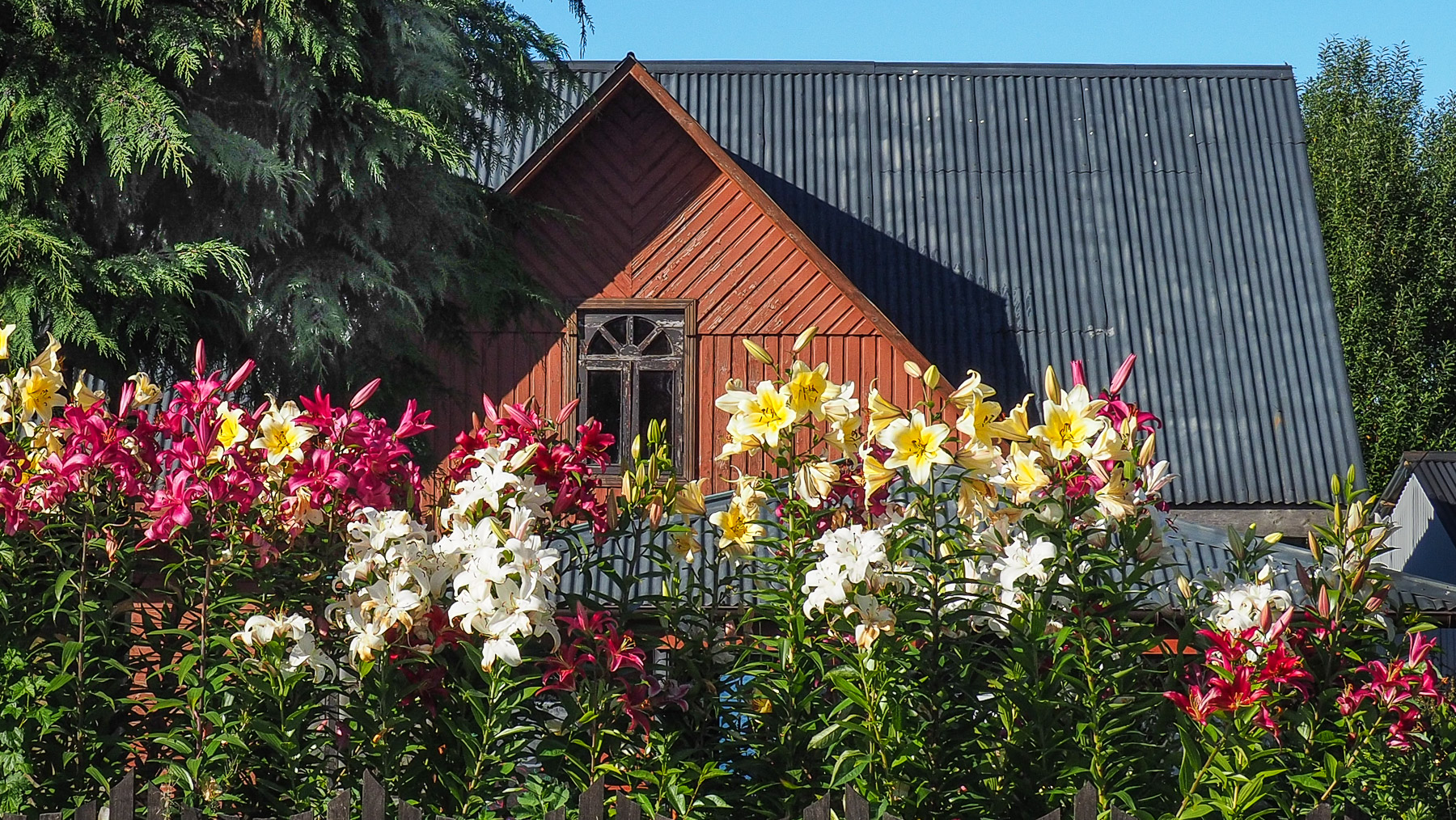 So schöne gepflegte Blumengärten in Puyuhuapi